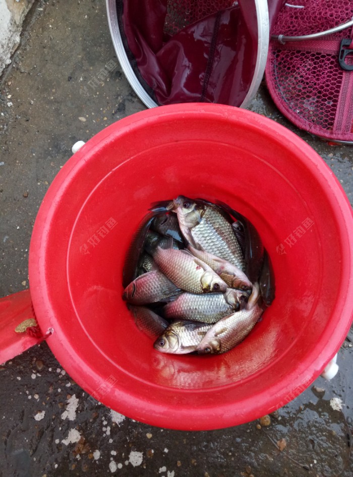 野釣釣魚點_野釣選點_野釣釣點