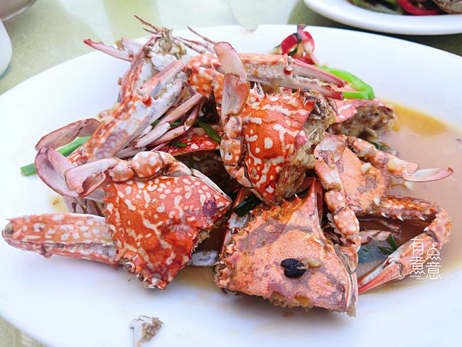 馬糞海膽價格_海膽價格_海膽價格多少錢一只