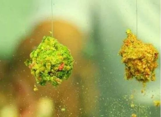 魚餌添加劑使用說明_常見魚餌添加劑的使用方法_魚餌添加劑