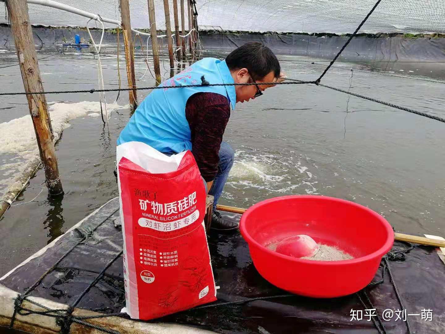 養殖草魚和野生草魚的區別_草魚養殖_養殖草魚一般喂什么飼料