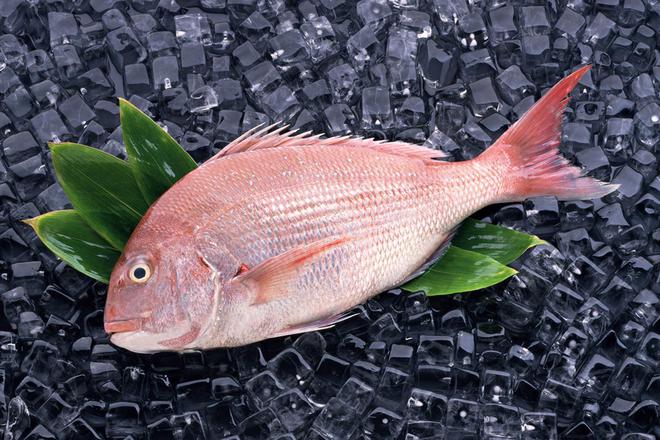 黃金鯽魚與鯽魚哪個有營養_黃金鯽魚和普通鯽魚有什么區別_黃金鯽魚與鯽魚哪個好