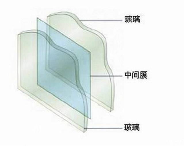 三道鱗是什么魚_新辣道魚鍋菜是自助么_大鱗鋸鱗魚