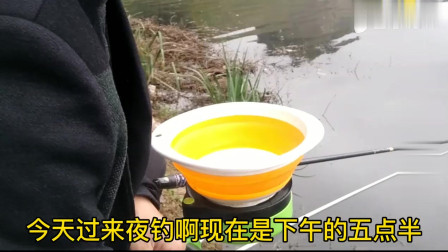 深秋釣鯽魚_釣鯽魚深秋用什么飲料最好_深秋釣鯽魚調幾釣幾