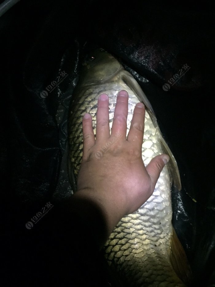 冬季釣魚_釣魚冬季可以用拉餌嗎_釣魚冬季用什么小藥最好
