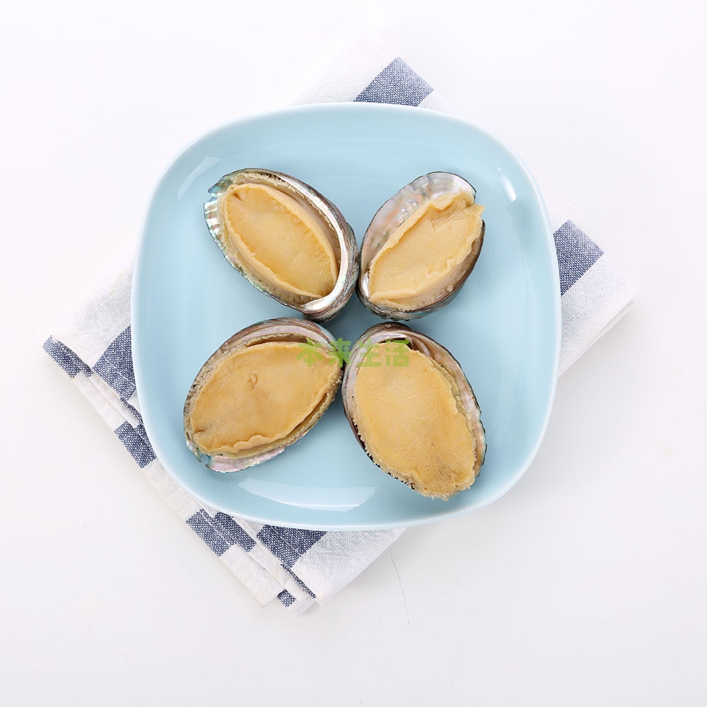 鮑魚是什么_鮑魚是海鮮嗎_鮑魚是魚類嗎