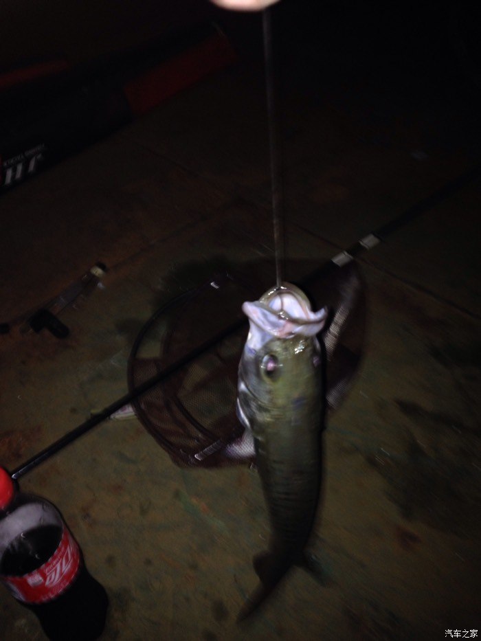 海釣鱸魚技巧_垂釣海鱸魚_技巧鱸魚海釣視頻教程
