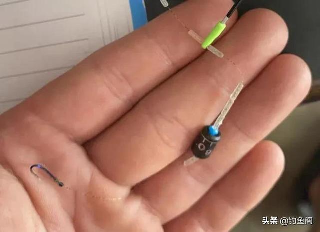 鯪魚_鯪魚怎么做好吃_鯪魚是海魚還是淡水魚