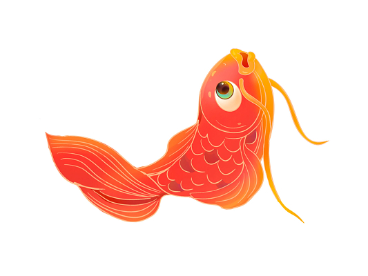 錦鯉養殖_養殖錦鯉魚一年利潤_養殖錦鯉魚的新手需要注意什么