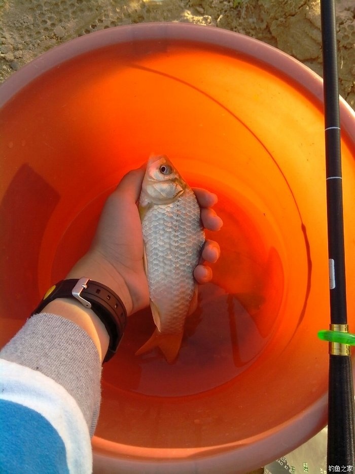 釣魚游戲大全_天天釣魚游戲_釣魚游戲真實版