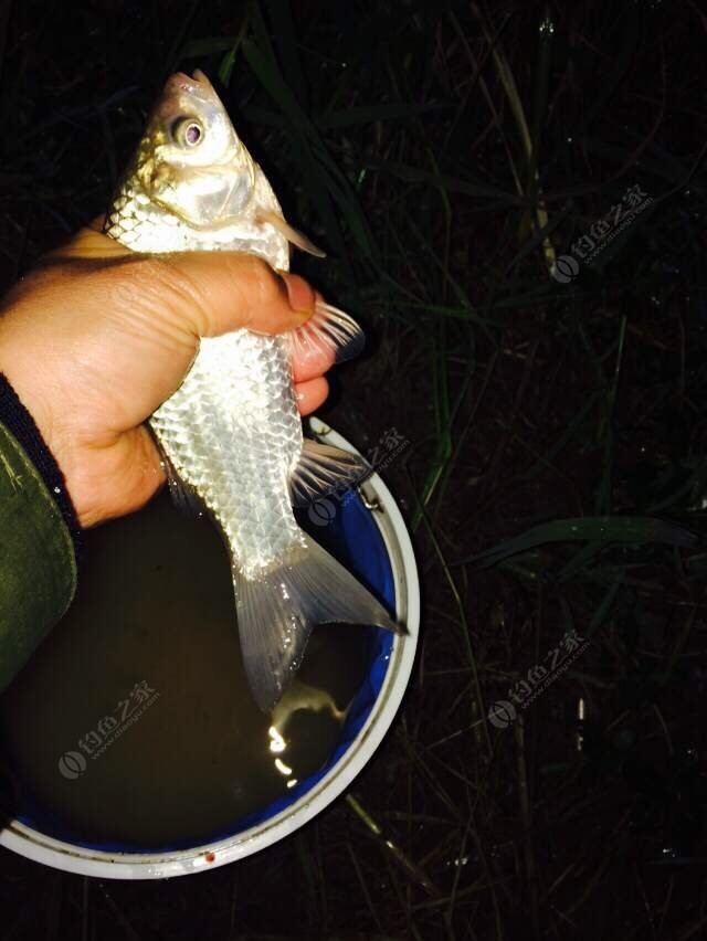 海竿釣法_海竿釣魚怎么釣法_海竿釣魚法