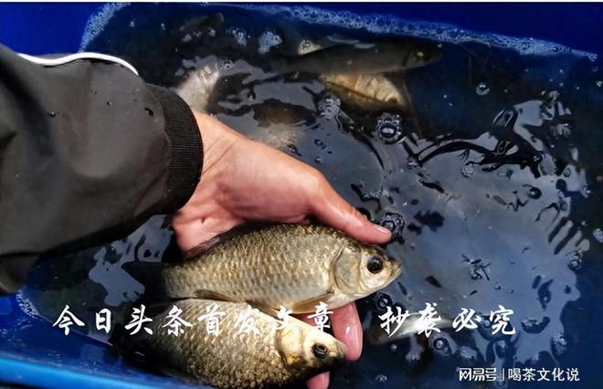 釣魚天氣預報哪個最準確呢_釣魚天氣_釣魚天氣app官方下載