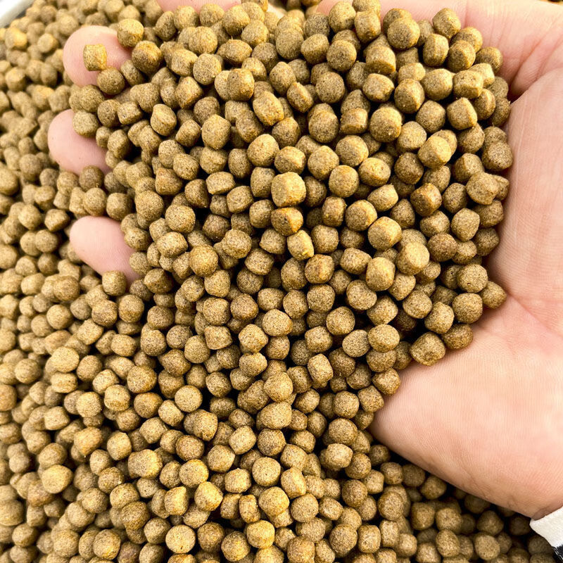 蝌蚪吃什么_蝌蚪吃什么東西怎么養活_蝌蚪吃什么食物才能養活