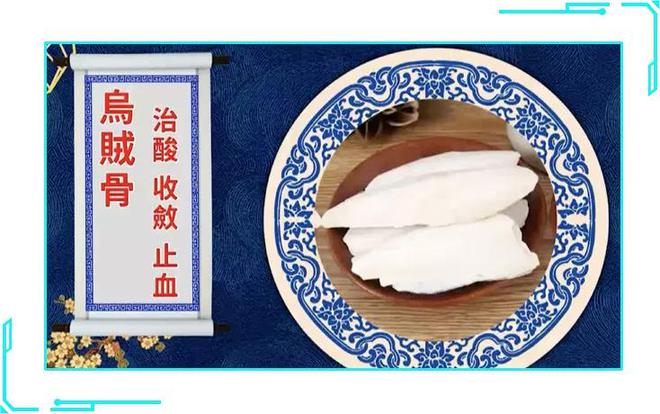 有毒的石斑魚_石斑魚哪個地方有毒_石斑魚毒刺