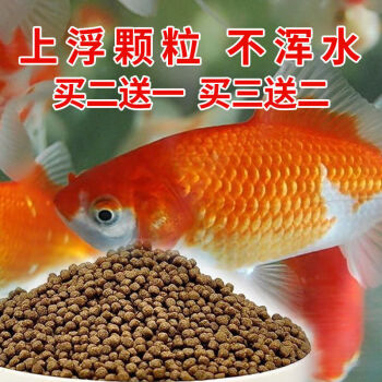 養魚錦鯉_養魚老道談錦鯉魚飼養_錦鯉魚怎么養