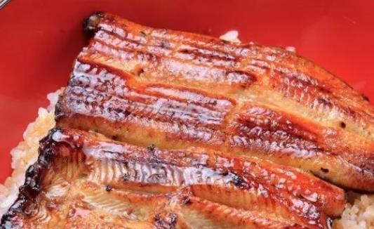 營養鰻魚價值多少_鰻魚的營養價值_營養鰻魚價值高嗎