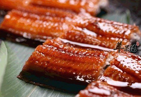 營養鰻魚價值多少_鰻魚的營養價值_營養鰻魚價值高嗎