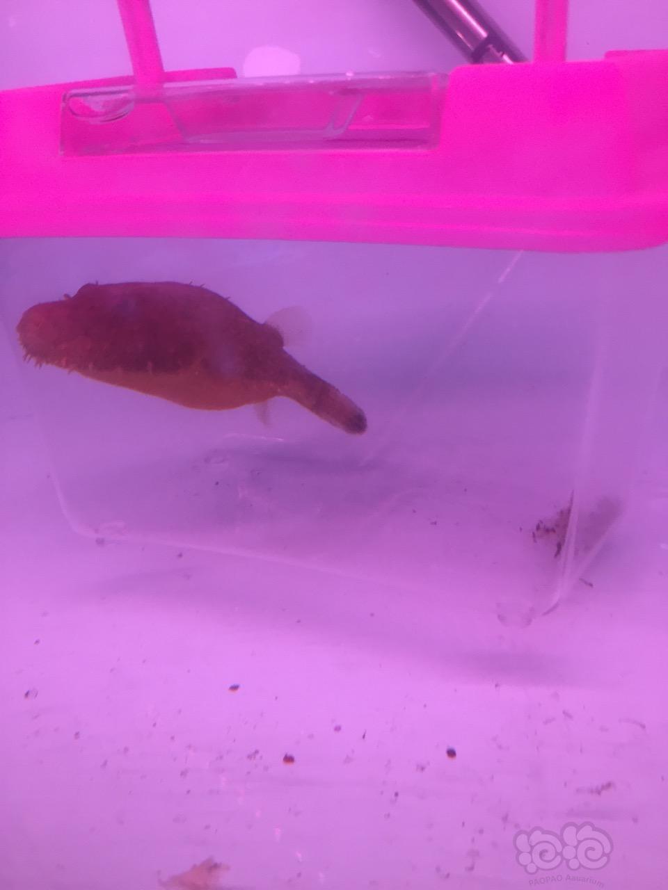 釣水庫技巧大全_水庫釣魚技巧_釣魚水庫技巧和方法