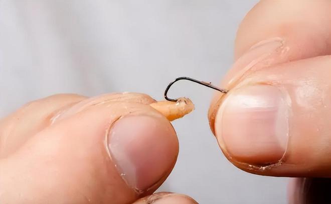 幾種魚鉤_魚鉤種類大全圖解_魚鉤的種類