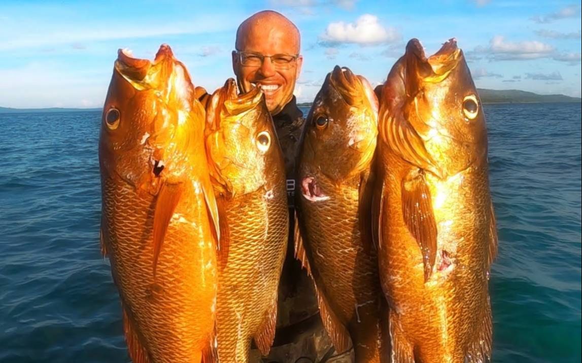 最大的淡水魚_淡水魚大全圖片和名稱_淡水魚大全