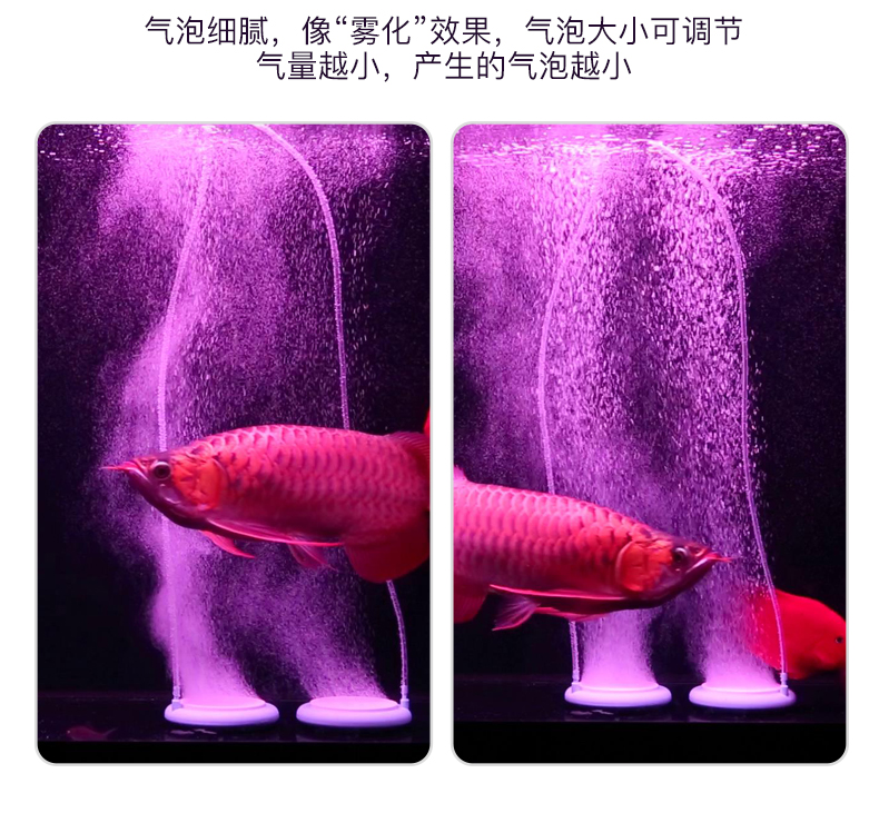 魚缸增氧泵_魚缸增氧泵正常工作視頻_魚缸增氧泵起什么作用