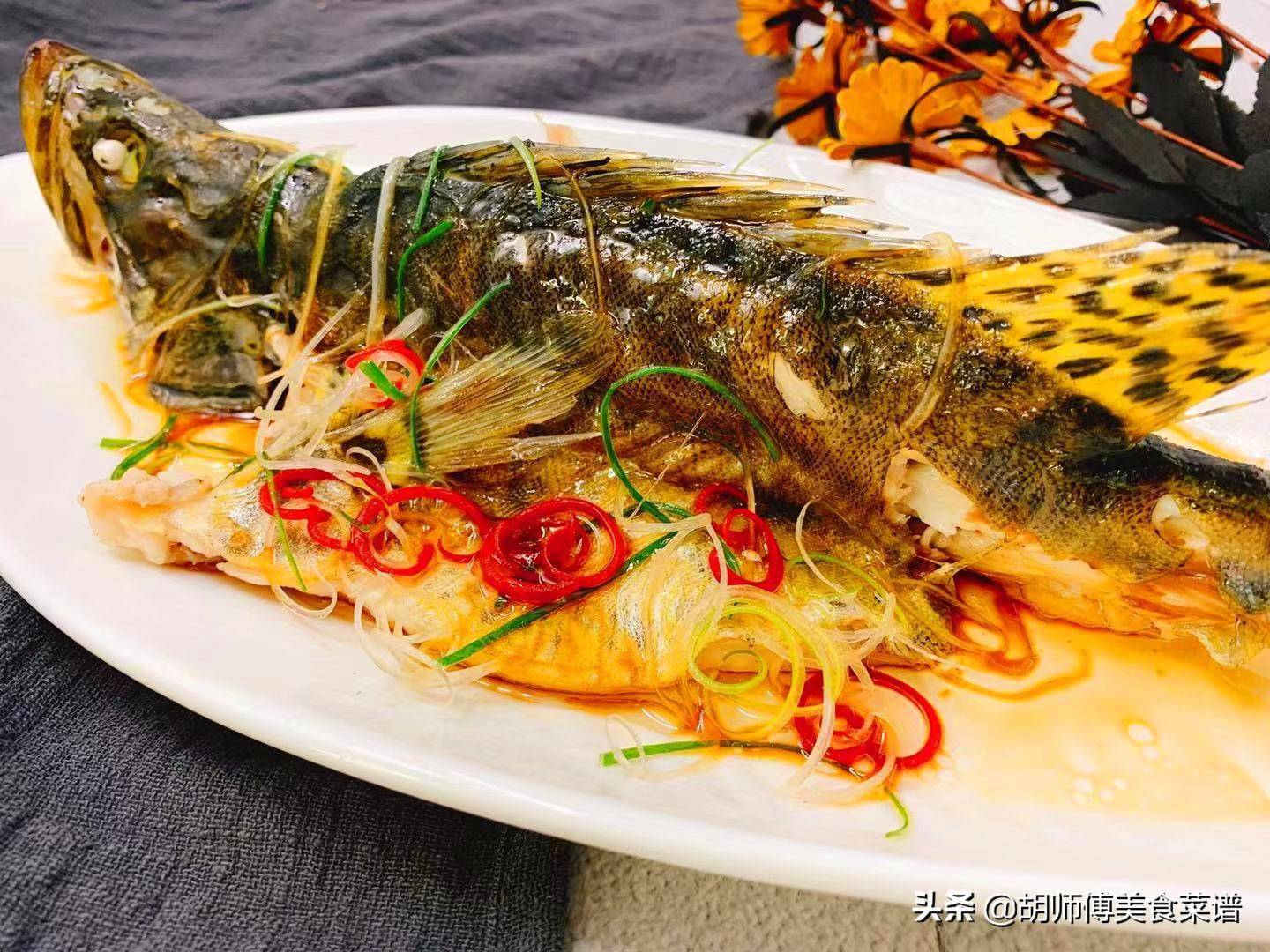 鱖魚_鱖魚飼料_鱖魚的最佳做法