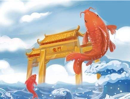 黃河鯉魚_黃河鯉魚和普通鯉魚的區別_黃河鯉魚哪里最正宗