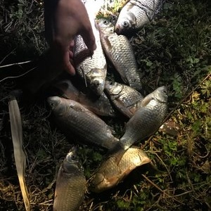 鄭州釣魚吧_釣魚鄭州野釣_2020鄭州釣魚
