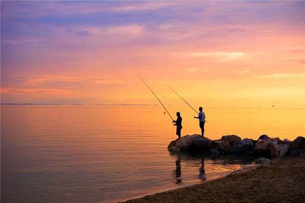 夢見別人釣魚_釣魚夢見釣了好多魚_釣魚夢見蛇