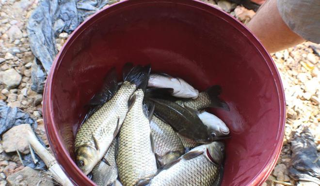 釣魚人_釣魚人生_釣魚人網名騷氣