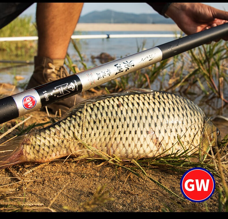 魚竿品牌排行榜0_魚竿品牌_魚竿品牌商標大全