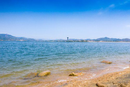 山東釣魚協會_山東省釣魚大師_山東省釣魚協會
