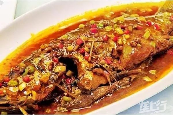 鱖魚和桂魚哪個好吃_鱖魚和桂魚的區別_桂魚和鱖魚有何區別