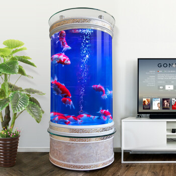 金魚怎么養才能活_金魚養活才能長大嗎_金魚養活才能繁殖嗎