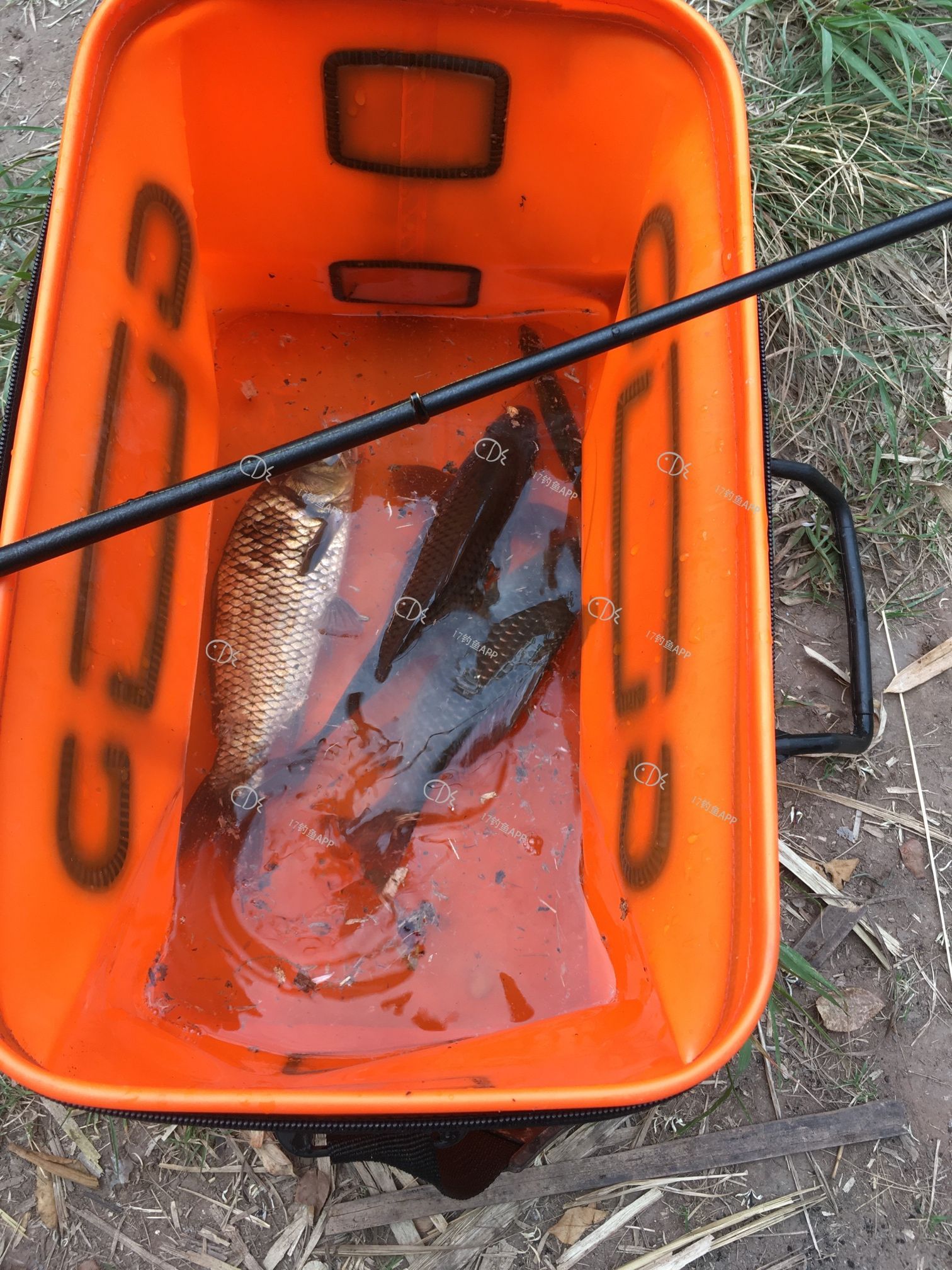 釣魚春季幾點去比較好_春季釣魚_釣魚春季釣深還是釣淺