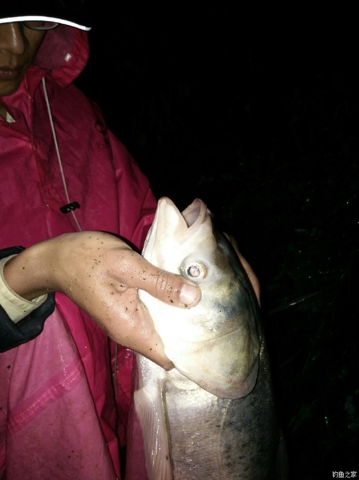雨前釣魚_釣魚雨前好還是雨后好_釣魚雨前雨后釣魚口訣