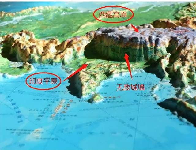 海里的魚_海里魚類大全名字_海里魚怎么做才好吃