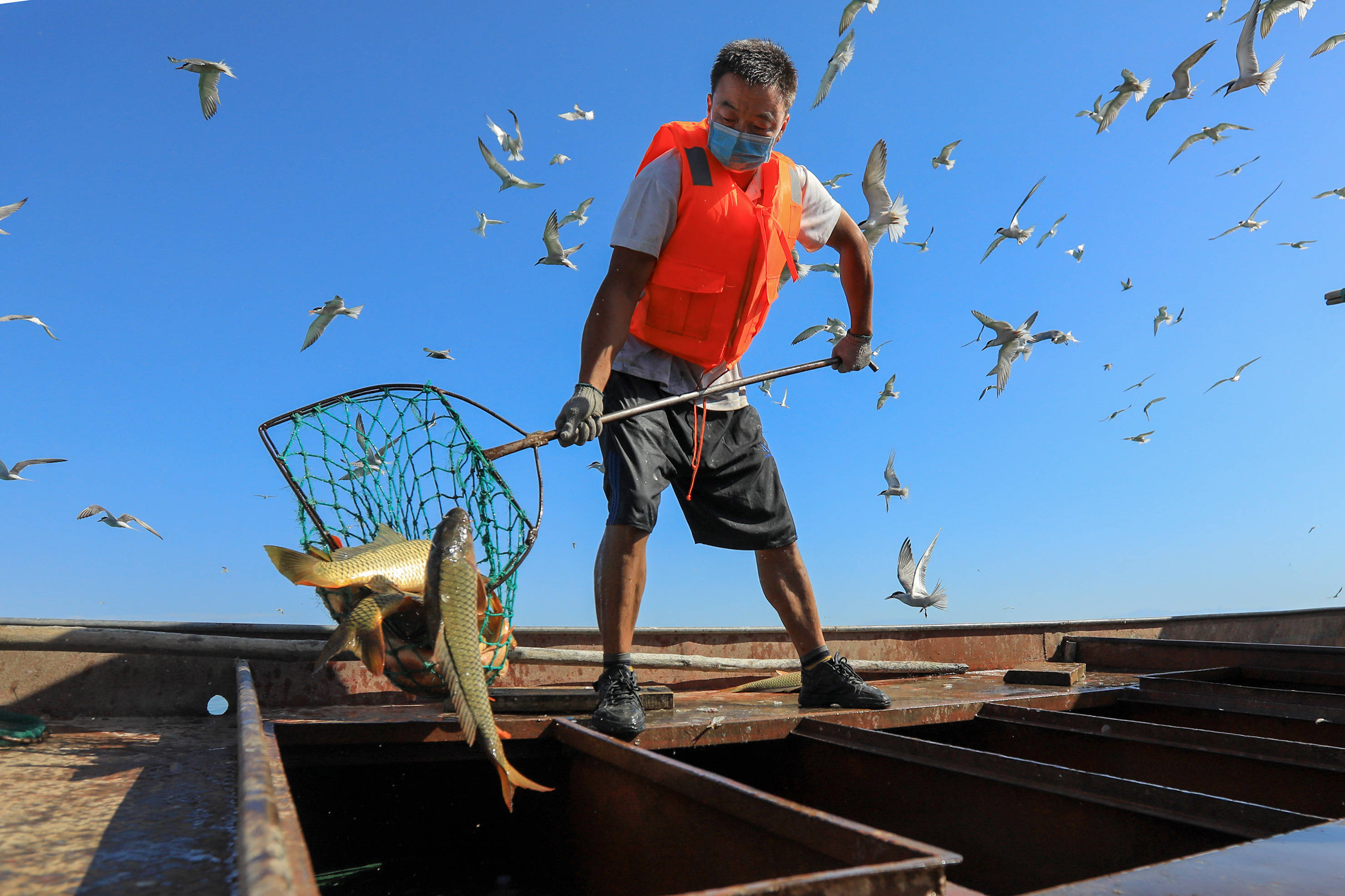 釣魚春季幾點去比較好_春季釣魚_釣魚春季釣深還是釣淺