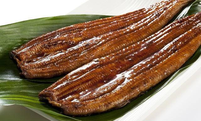 鰻魚營養表_營養鰻魚價值高不高_鰻魚的營養價值
