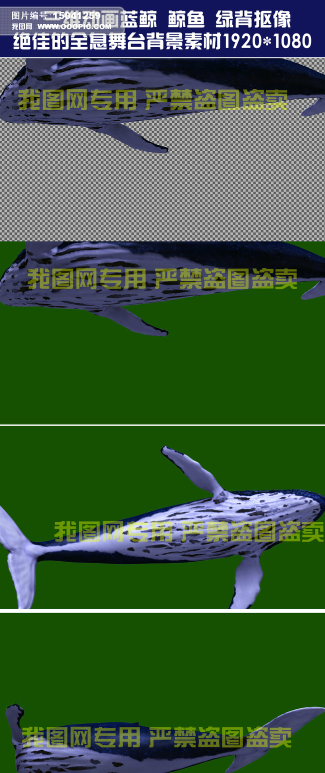 一頭鯨有多重_鯨頭有什么旅游區嗎_鯨頭有哪些山可以爬