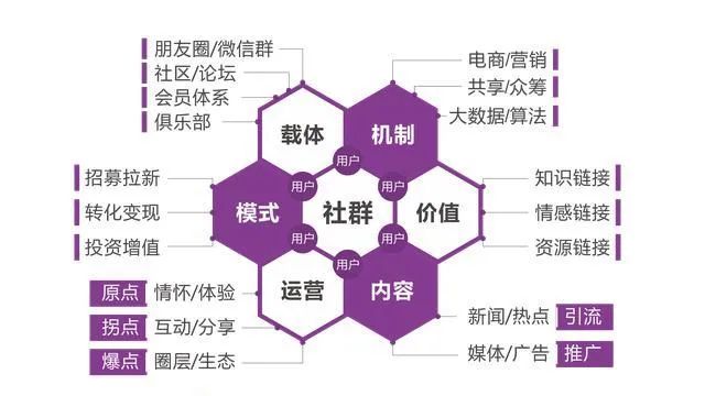 斑馬斑馬_斑馬斑馬斑馬_斑馬精準