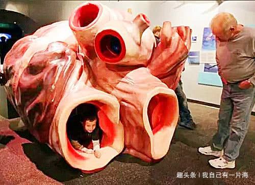 鯨頭有什么旅游區嗎_鯨頭有個廟叫什么_一頭鯨有多重