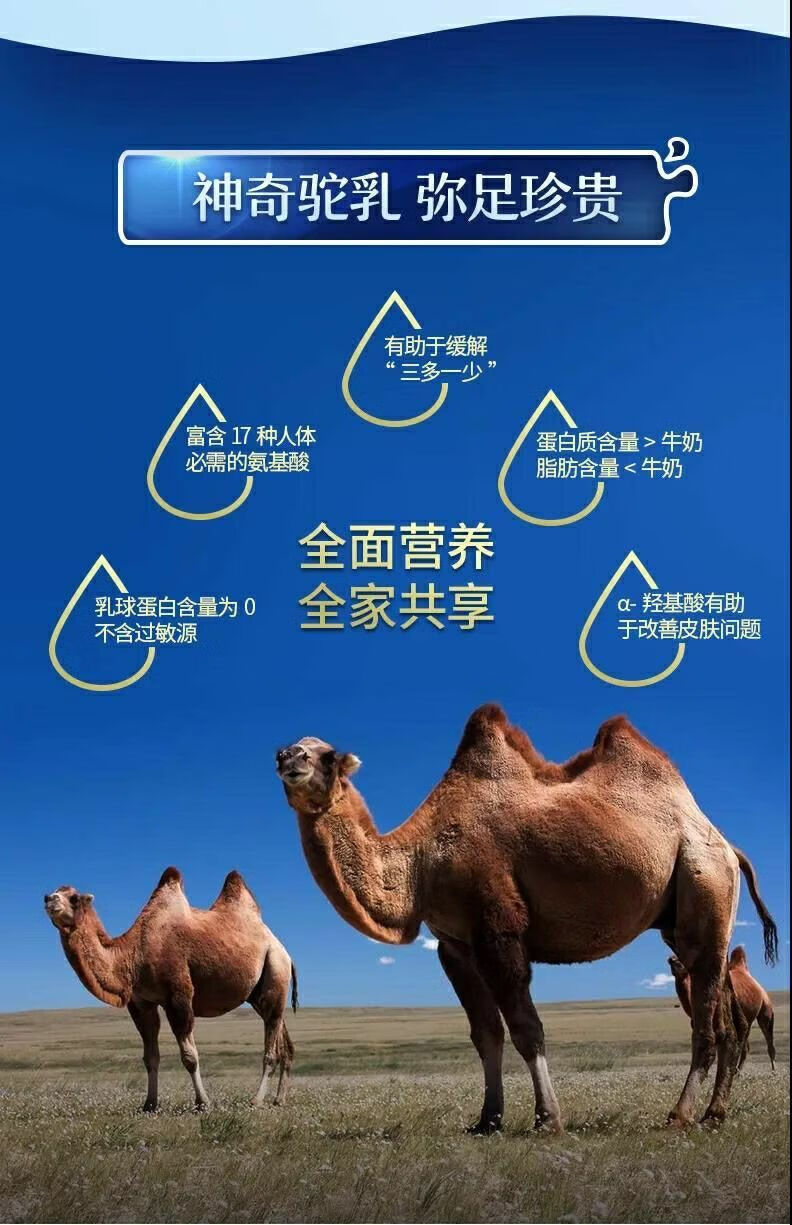 俄羅斯陸龜_俄羅斯陸龜可以養嗎_俄羅斯陸龜壽命