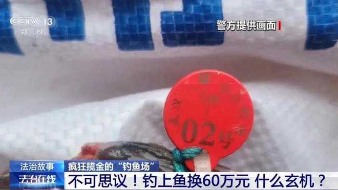 達瓦釣箱型號區別_達瓦釣箱_達瓦釣箱怎么區分是不是正品