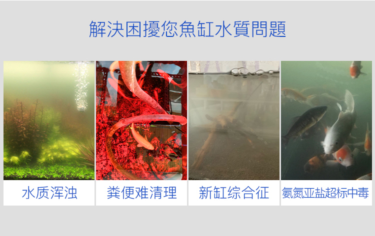 培養硝化細菌需要多長時間_硝化細菌培養_細菌培養硝化實驗報告