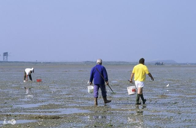 釣魚春季釣深還是釣淺_春季釣魚_釣魚春季幾點去比較好