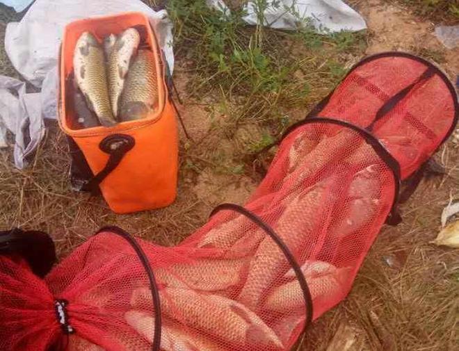 水庫釣魚技巧_釣水庫技巧大全_釣魚水庫技巧和方法