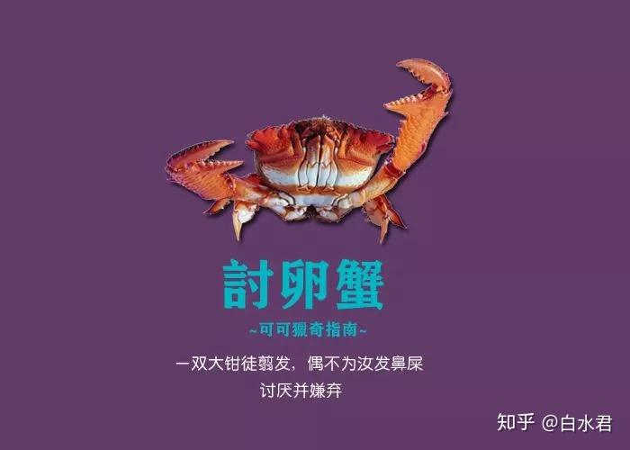 翻車魚是什么魚_魚翻車是什么意思_翻車魚死亡原因