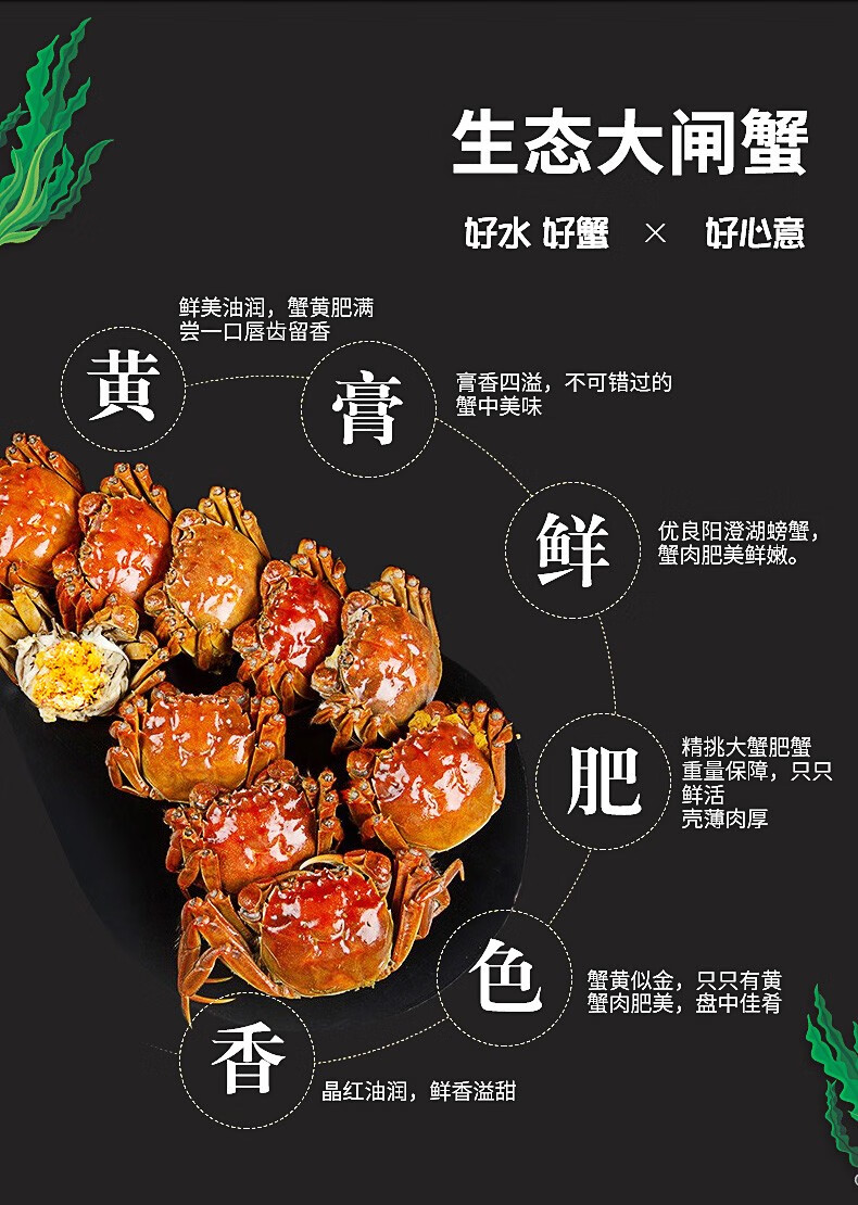 ?大閘蟹_大閘蟹錢只_大閘蟹多少錢一斤