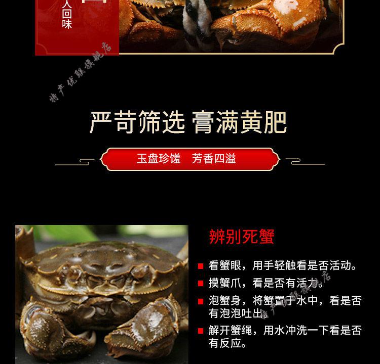 大閘蟹錢只_?大閘蟹_大閘蟹多少錢一斤
