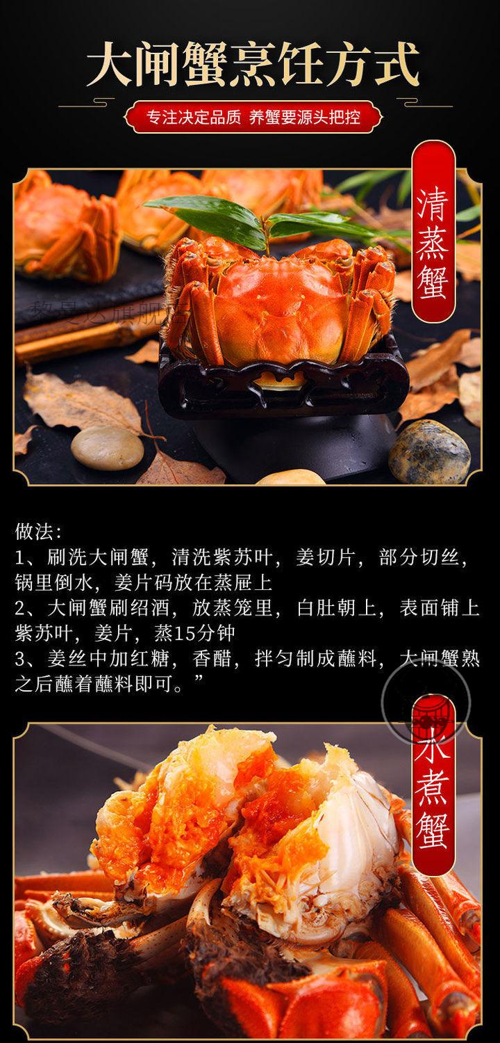 ?大閘蟹_大閘蟹多少錢一斤_大閘蟹錢只